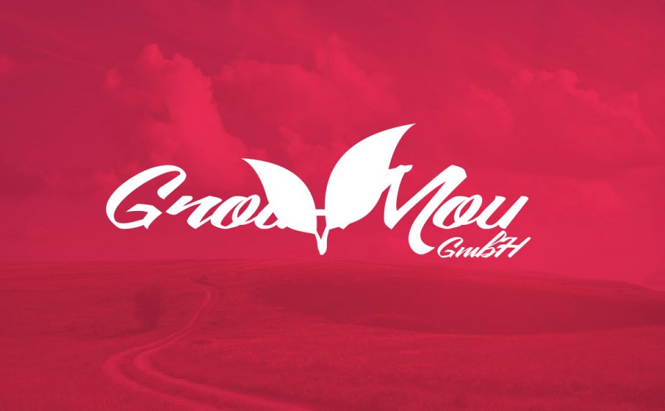 Digitalni marketing, optimizacija sajtova i brendiranje