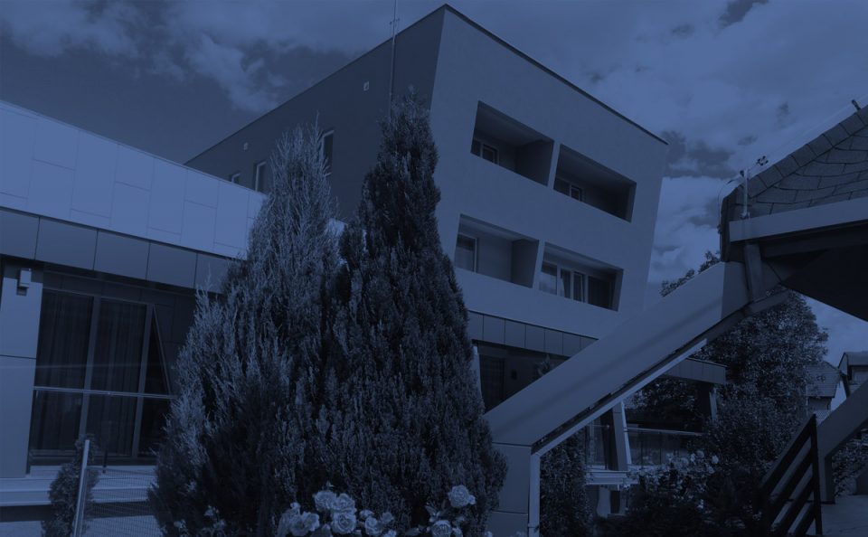 Digitalni marketing, optimizacija sajtova i brendiranje